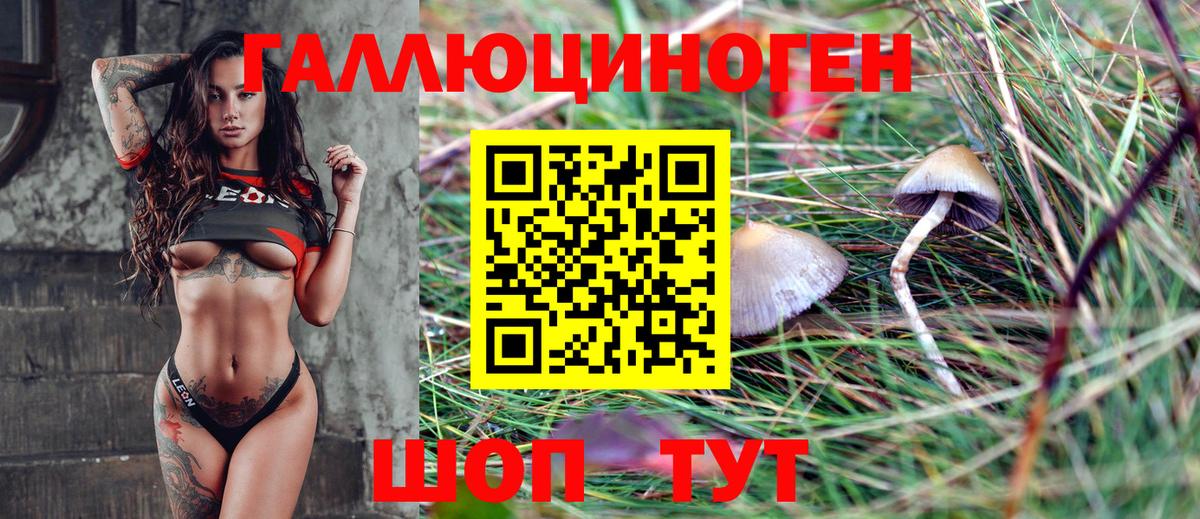 Псилоцибиновые грибы прущие грибы  Вход с VPN  Псилоцибиновые грибы Psilocybe  Архангельск 