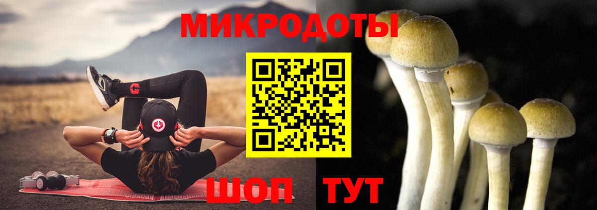 Псилоцибиновые грибы GOLDEN TEACHER Архангельск