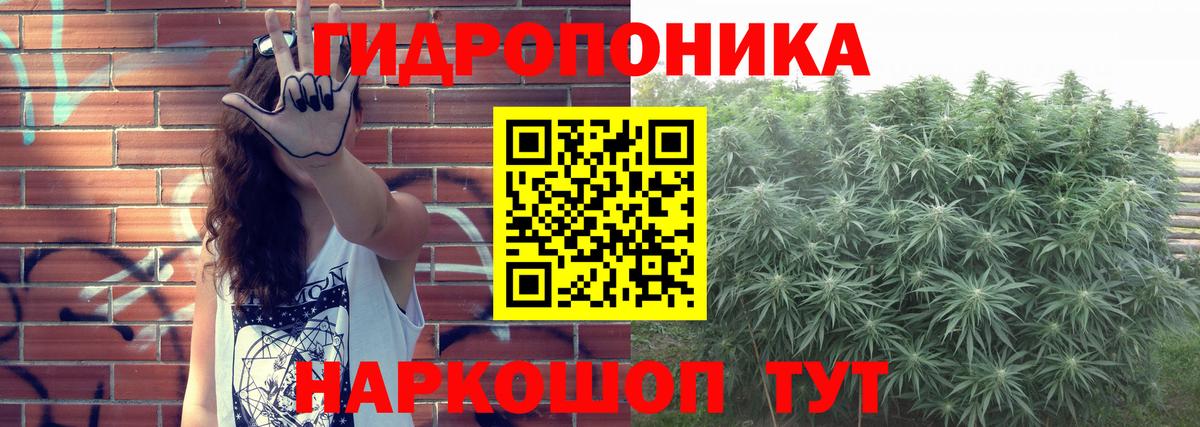 Шишки марихуана MAZAR  МАРИХУАНА Bruce Banner  Архангельск  Канабис индика  Вход с VPN  Марихуана сатива 